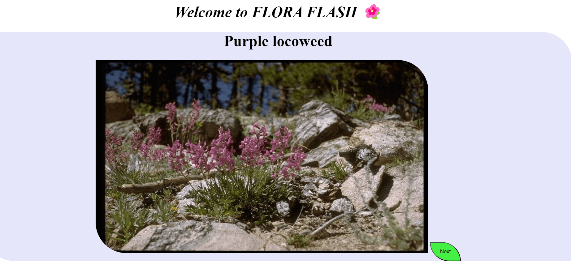 Floraflash
